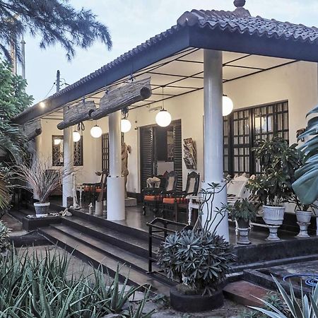 The Icebear Guesthouse Negombo Extérieur photo