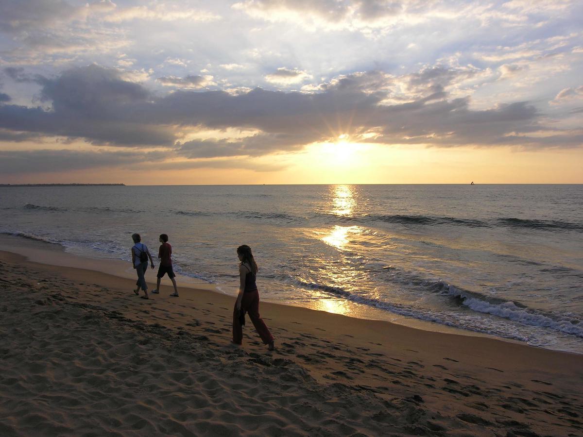 The Icebear Guesthouse Negombo Extérieur photo