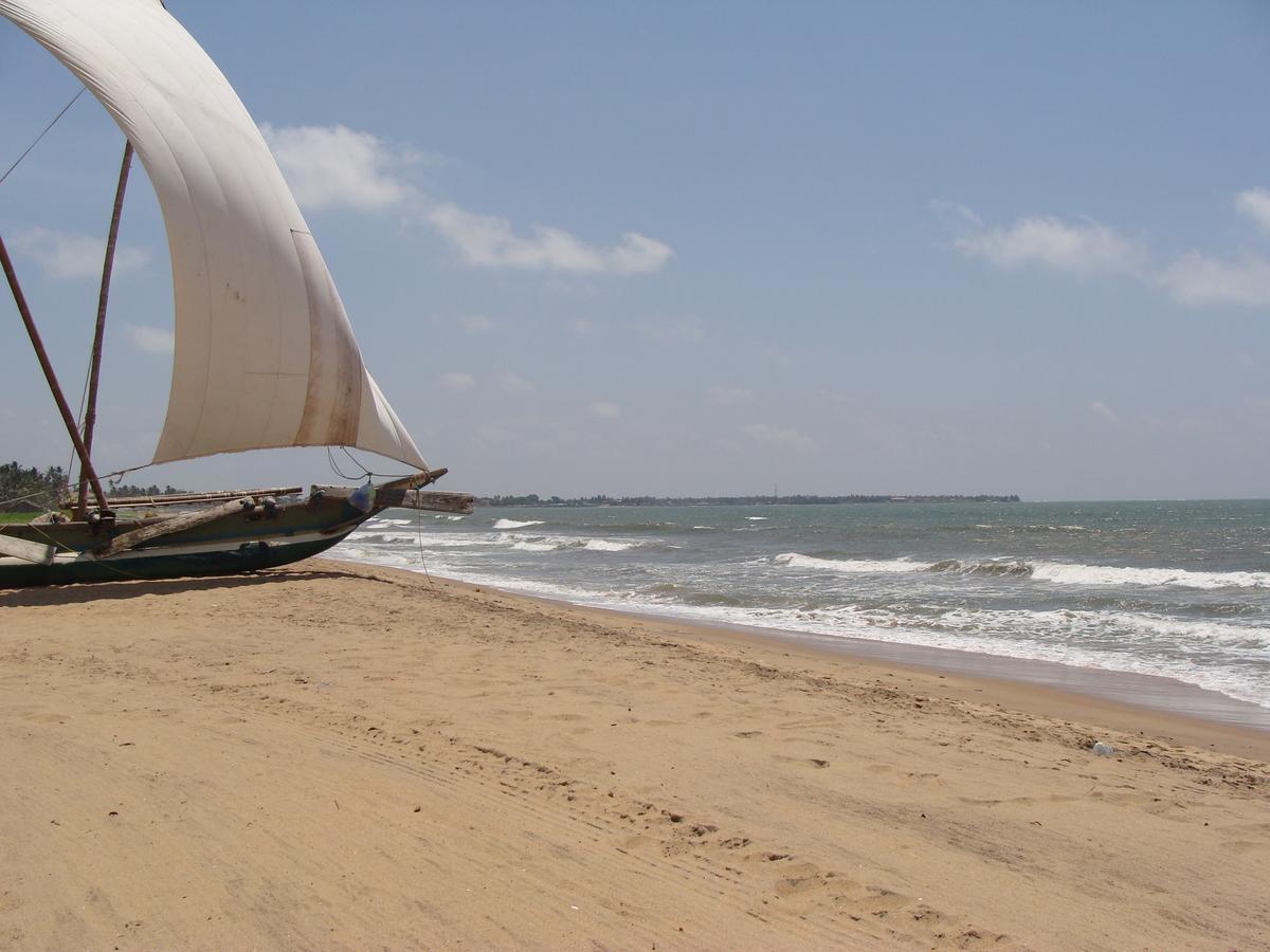 The Icebear Guesthouse Negombo Extérieur photo