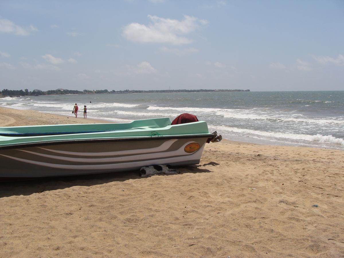 The Icebear Guesthouse Negombo Extérieur photo
