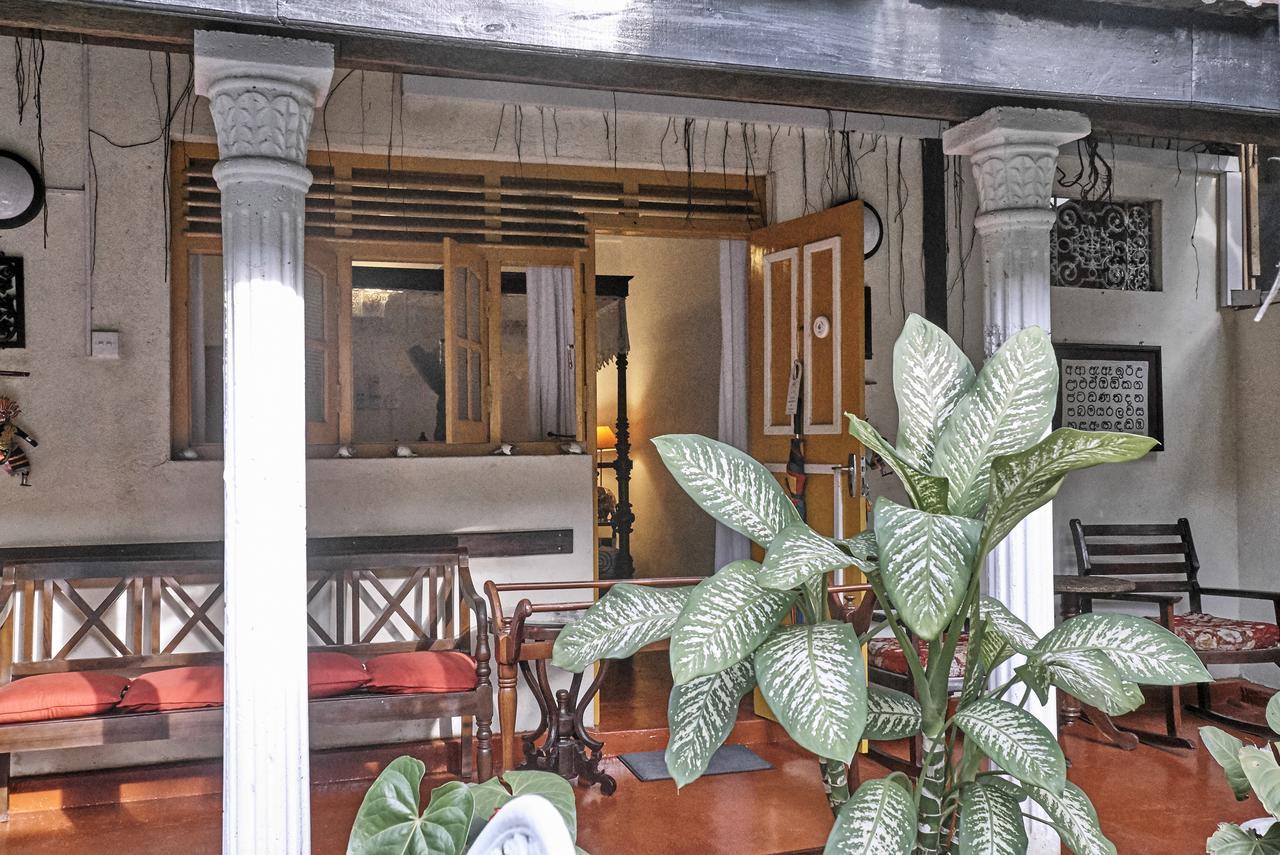 The Icebear Guesthouse Negombo Extérieur photo