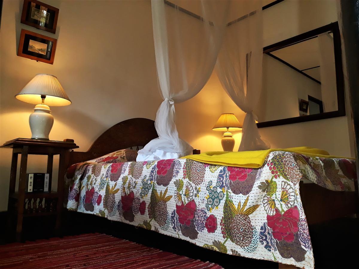 The Icebear Guesthouse Negombo Extérieur photo