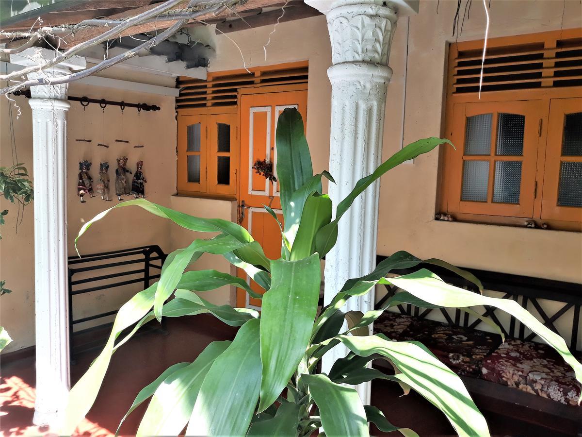The Icebear Guesthouse Negombo Extérieur photo