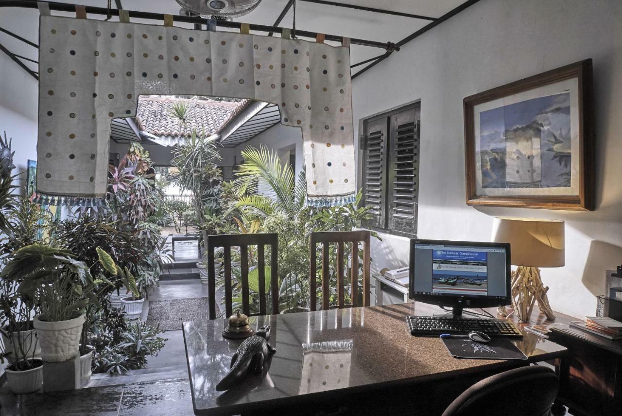 The Icebear Guesthouse Negombo Extérieur photo