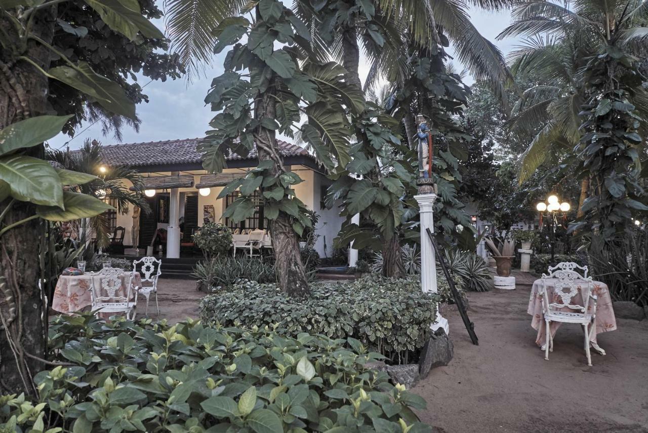 The Icebear Guesthouse Negombo Extérieur photo