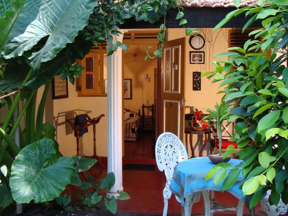 The Icebear Guesthouse Negombo Extérieur photo