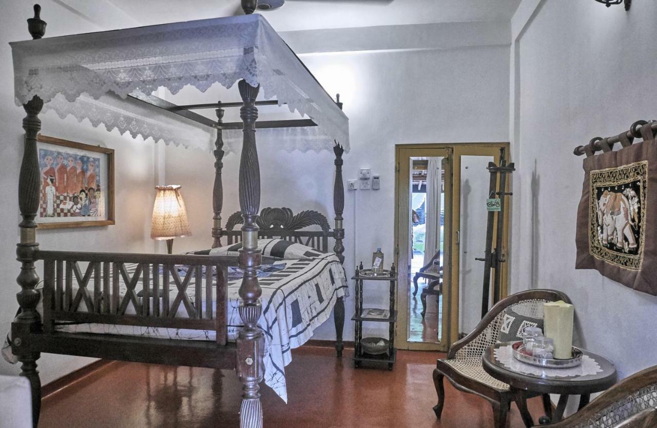 The Icebear Guesthouse Negombo Extérieur photo